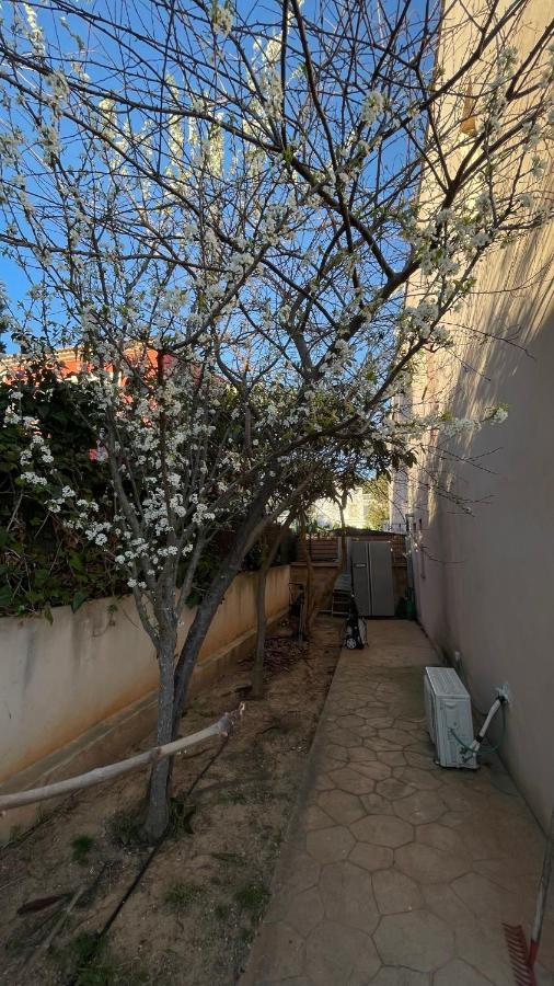 Aina Villa Cala Pi  Dış mekan fotoğraf